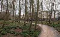 Beeld 21, klik om te vergroten