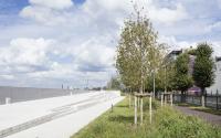 Beeld 20, klik om te vergroten