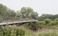 Beeld 7, klik om te vergroten