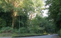 Beeld 3, klik om te vergroten