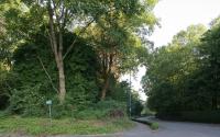 Beeld 6, klik om te vergroten