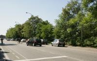 Beeld 10, klik om te vergroten