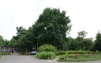 Beeld 5, klik om te vergroten