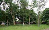 Beeld 6, klik om te vergroten