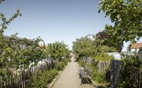 Beeld 9, klik om te vergroten