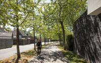 Beeld 24, klik om te vergroten