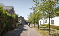 Beeld 25, klik om te vergroten