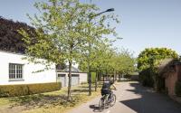 Beeld 26, klik om te vergroten