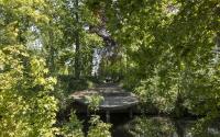 Beeld 33, klik om te vergroten