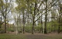 Beeld 19, klik om te vergroten