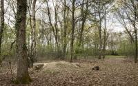 Beeld 20, klik om te vergroten