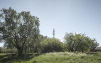 Beeld 9, klik om te vergroten