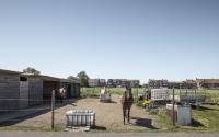 Beeld 20, klik om te vergroten