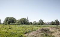 Beeld 21, klik om te vergroten