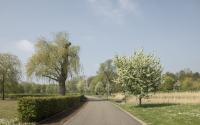 Beeld 18, klik om te vergroten