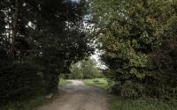 Beeld 37, klik om te vergroten