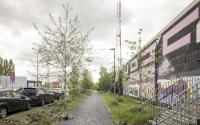 Beeld 31, klik om te vergroten