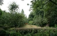 Beeld 3, klik om te vergroten