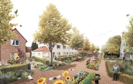 Onderzoeken Klimaatwijk Leuven en Klimaatwijk Mechelen afgerond, beeld van een mogelijke inrichting van een straat