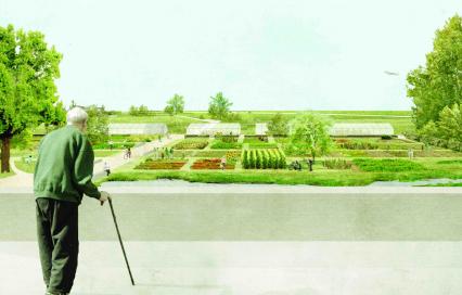 Catherine Pyck - masterplan park nieuwe koers - beeld buurttuin
